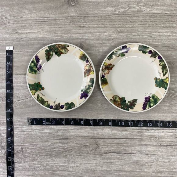 🧧SOLD🧧Casual setting by Oneida grapevine set of 2 plates - Picture 5 of 5